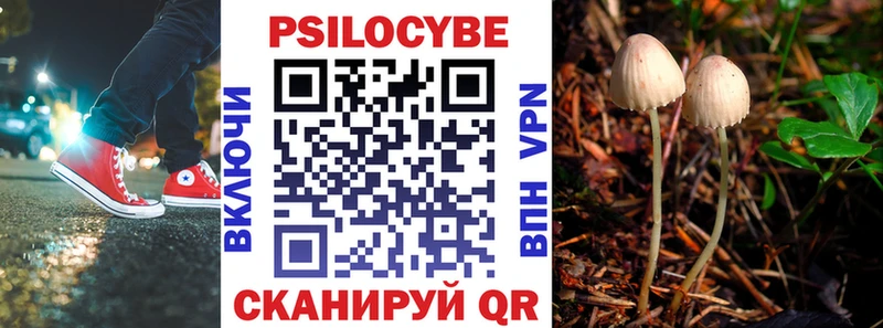 Псилоцибиновые грибы прущие грибы  где продают   Абинск 